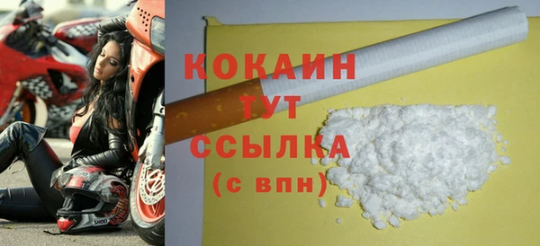 стаф Бородино