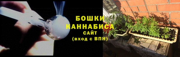стаф Бородино