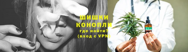 стаф Бородино