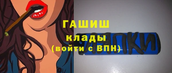 стаф Бородино