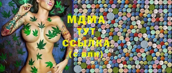 стаф Бородино