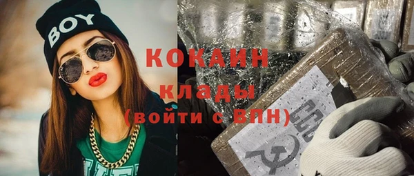 стаф Бородино