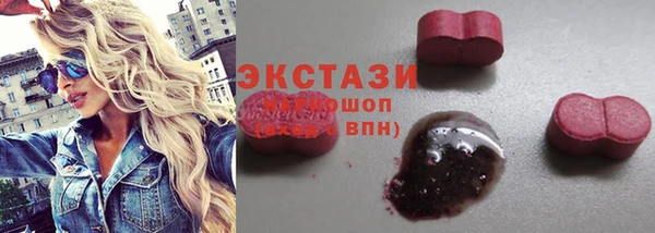 стаф Бородино