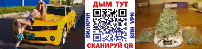 Бошки марихуана ГИДРОПОН  Шахты 